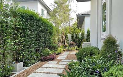 #LandscapeIdeas  #GardeningIdeas