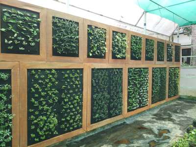 *Plant frame: wall mounting garden for balconies Courtyard patio veandah copound wall etc...*
Sizes to tailormade for advanced bookings .