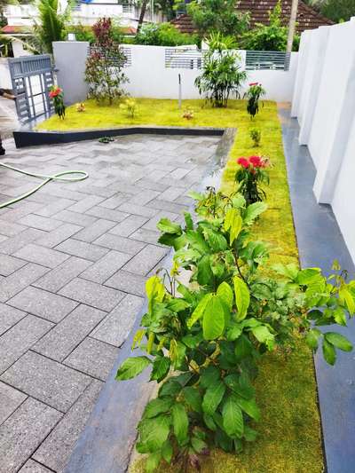 Completed our Next work with Landscaping and Fruit plants Planting.. We will do things perfectly for you..