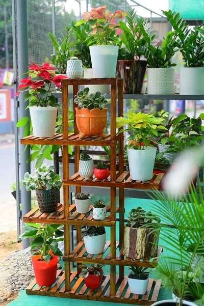 wooden stand #IndoorPlants  #ceramicpots