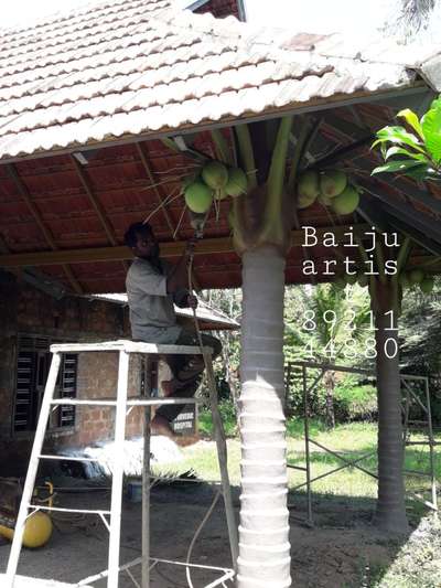 fillar on coconut tree work