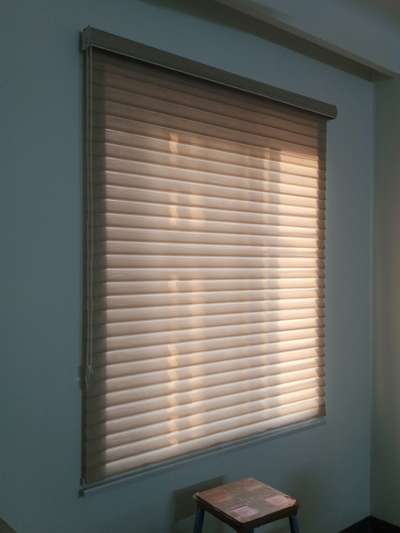 Zebra blinds