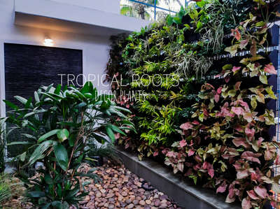 courtyard green wall #tropical roots landscaping #9747927921