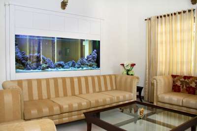 marine aquarium (partition aquarium ) #fishtank  #fish  #marinefish  #aquarium  #InteriorDesigner  #wallaquarium  #interior  #waterbody  #aqua  #aquascaping