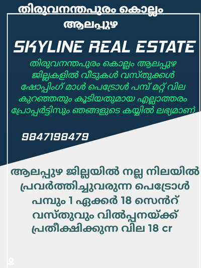 SKYLINE REAL ESTATE