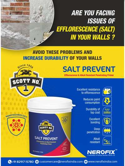 #Efflorescence #Remove Salt #protect