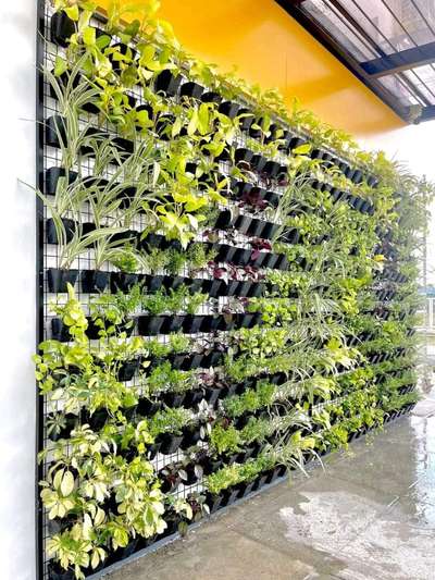 Vertical Garden
 #VerticalGarden  #LandscapeGarden  #landscapework  #RooftopGarden  #plantslover