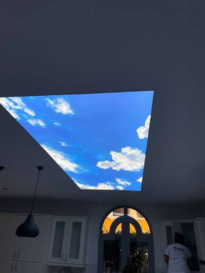 3D ceiling  #owners