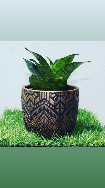 ceramic pot  #cermic pot #IndoorPlants  #HomeDecor