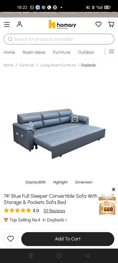 sofa come bed  price 45000