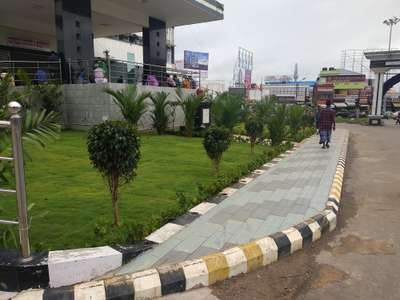 mexican carpet lawn at trivandrum med college entrance