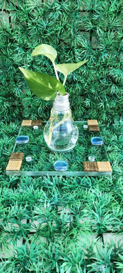 Light Bulb Plant Holder with Glass Base!