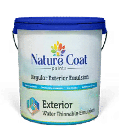 #WallPainting  #exteriordesigns #paints Regular Exterior emulsion by NATURE COAT PAINTS