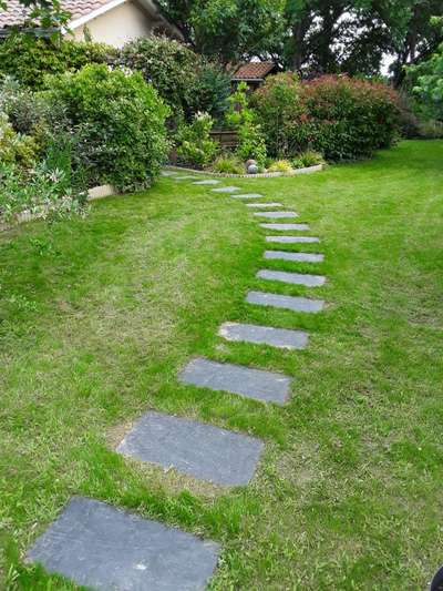 Landscap Wayanad 
8 1390 05302