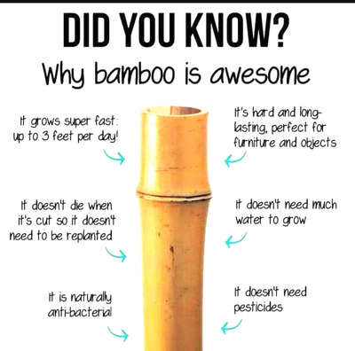 #bambooFences #bamboo #bamboodesign #naturaldesign #Gokool #gokoolinterio #gokoolstyles #costeffective #information #informatics