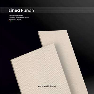 2x4 Linea Punch For Elevation and Bathroom