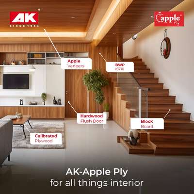 #appleply #InteriorDesigner #HomeDecor #Plywood #HouseDesigns