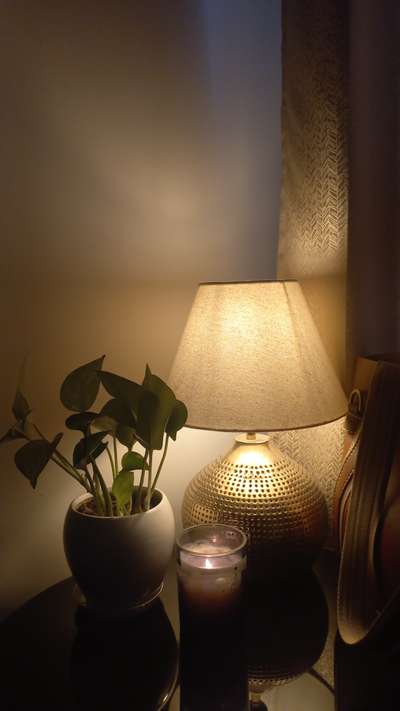 Requirement of electrician and Pop contactor for regular work based on only Ghaziabad and noida