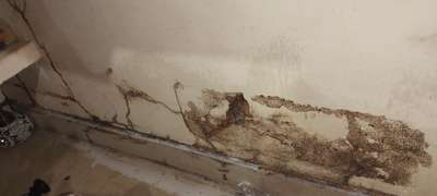 # pest control # Anti termite treatment #  warranty # Tata # bayer