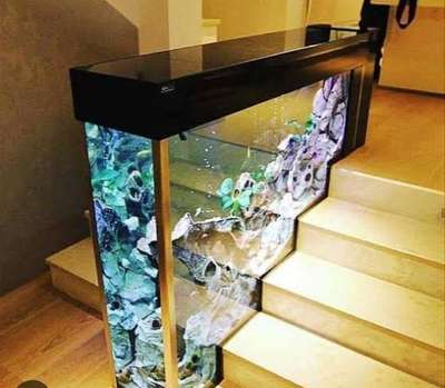 we make this type of aquarium tanks with low budget.. fully automated.. no big maintenance 👍 #wall_aquarium