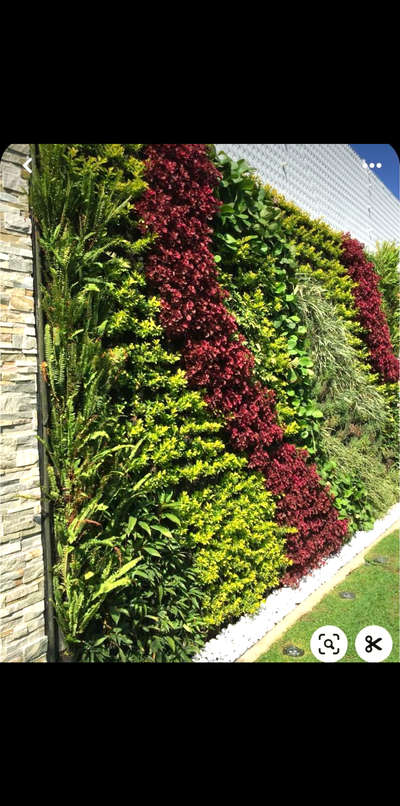 This summer go with natural green with a vertical garden in your unused space i.e. terrace, balcony,  shaft, lawn, parking area, pillars, residential and commercial spaces with Floret Decorr Solutions 

Contact us for estimate and site visit @ floretdecorrsolutionsllp

 #VerticalGarden #green_wall  #green⁠ #Real #reelsinstagram #viralkolo #koloapp #IndoorPlants #outdoorplant #LandscapeGarden #VegetableGarden #floretdecorrsolutions