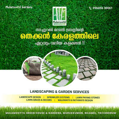*Natural Lawn Grass | Mexican| Banglore Grass*
Bangalore quality natural Mexican lawn grass supplies @ Mulamoottil Nursery Gardens, Nilamel, Trivandrum, Kollam, Pathanamthitta near by WatsApp 9