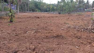 30 Cent Plot for sale on Pakalkuri, Pakalkuri PO, Pallickal, 695604 Thiruvanathapuram-Kollam border
opposite to post office
All amenities are available !!!
Contact for further details 
Mr. Prasad NR 
Mob: 8943568823
 #Kollam  #trivandram  #keralam  #plot  #property  #sale