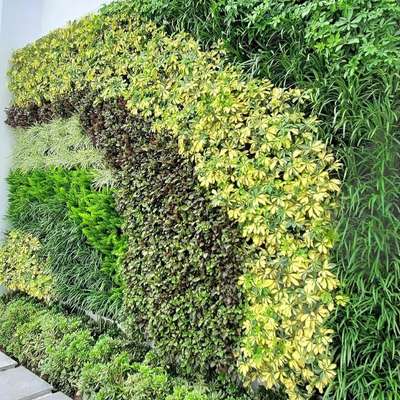 we Deliver you Natural Vertical Gardens which are one of best in it's own kind. varous 8 vertical Garden systems at one place with hazzle free process.
# Green walls  #VerticalGarden  #Landscape  #LandscapeIdeas  #HomeDecor