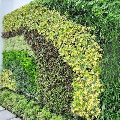 we Deliver you Natural Vertical Gardens which are one of best in it's own kind. varous 8 vertical Garden systems at one place with hazzle free process.
# Green walls  #VerticalGarden  #Landscape  #LandscapeIdeas  #HomeDecor