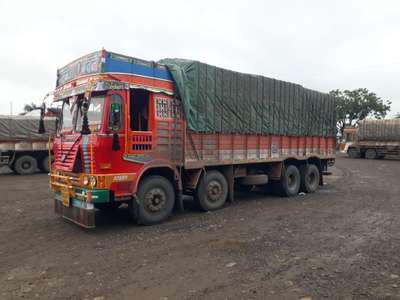 plywood ready to dispatch