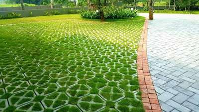 #grass #grasspavers #Lawncare #lawnsetting #lawns #greengrass #paverblock #paverswithgrasstextures