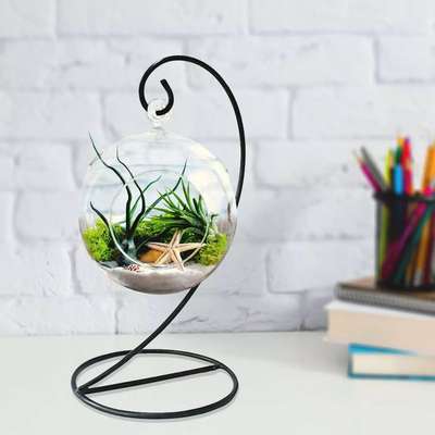 Leafy Dew Clear Globe Shape Glass Terrarium with Hanging Black Iron Pot Stand Tea Light Candle Holder Planter (Snow White Sand, White Pebbles, Seashells, Starfish)#interior #decor #ideas #home #interiordesign #indian #colourful#terrarium #decorshopping