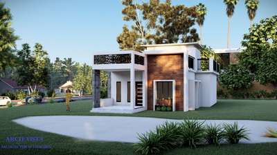 single storey house, budget Home