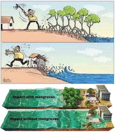 save Tree save Home 
@Faruque Ahmad 
#omar_consultants #omar_construction