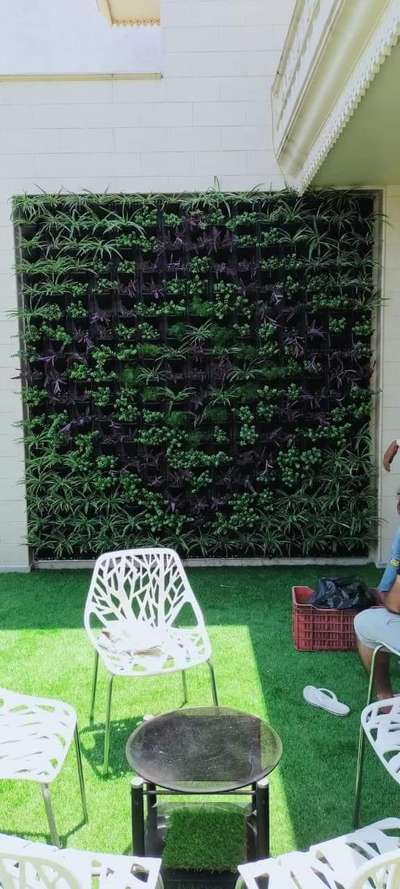 Vertical garden #terracegardening