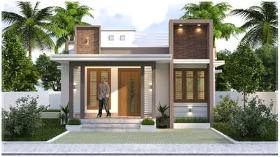 #exterior designs  #3Delevation