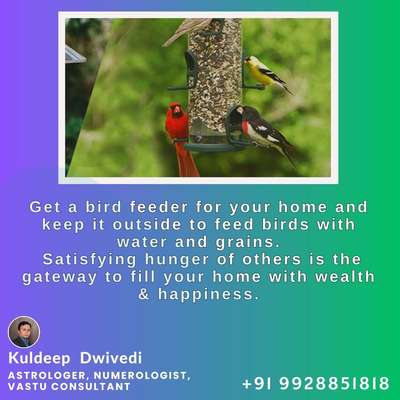 Get a bird feeder for your home and keep it outside to feed birds with water and grains.

Satisfying hunger of others is the gateway to fill your home with wealth & happiness.
.
.
#vastuconsultant #astrologer_in_udaipur #numerologist #vastuclasses #astrokuldeep