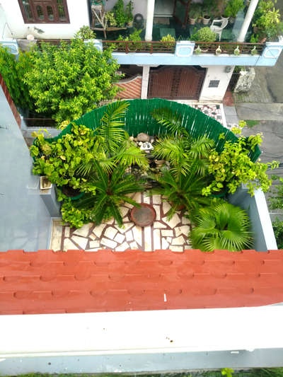 no land no problem
garden on rooftop