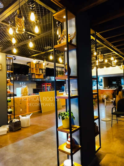 indoor plants&curios #restaurant interior #indoor plants,pots&curios #tropical roots landscaping, Kochi#client chef martins Kottayam