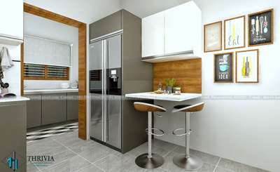 Kitchen mini breakfast counter..

Dm for customised designs....