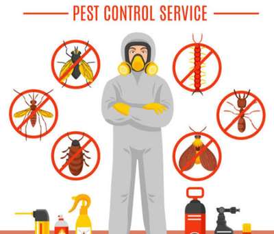 #pestcontrol #generalpest #jodhpur #Architect #termitecontrol