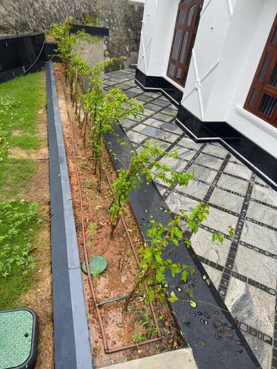 Automated Drip And sprinkler installation work 
completed Project at kollam 
 #dripirrigation  #sprinkler  #LandscapeGarden  #automated  #popup