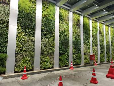 vertical garden, one of the latest installation
