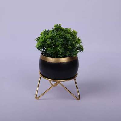 Black Metal Planter Pot with Golden Stand
#indian#colouful#homedecor#interior#planter #decorshopping