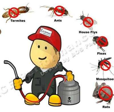 PEST CONTROl  SERVICES🐞
Mail ID pestcontroljaipur2018@gmail.com
Company address H.O:160,Naya Khera,Vidhyadhar Nagar,sector-3,Jaipur Rajasthan
जानकारी करें पेस्ट कंट्रोल क्या आप अपने घर मैं दीमक मच्छरों,कॉकरोच,छिपकली, मक्खी,फॉगिंग फेब्रिकेशन कबूतर नेट सैनिटाइजरऑफिस बैंक घर सैनिटाइजर चूहा,मकडी,खटमल, सभी जयपुर जोधपुर कोटा उदयपुर बीकानेर टोंक पाली नई दिल्ली पुरानी दिल्ली ग्वालियर पूरा मध्य प्रदेश अपने घर मैं की समस्या से पूरी तरह आजादी चाहते है सभी कीटो की रोकथाम के लिए काल करे
Call now
9024612844,91,7014695620