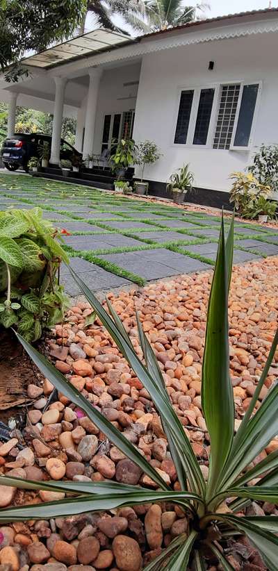 Home landscape design #HomeDecor  #homedoors  #home  #courtyard #mycourtyard  #garden  #homedesign  #homegarden  #pebbles  #SmallHouse  #keralastyle  #keralahome