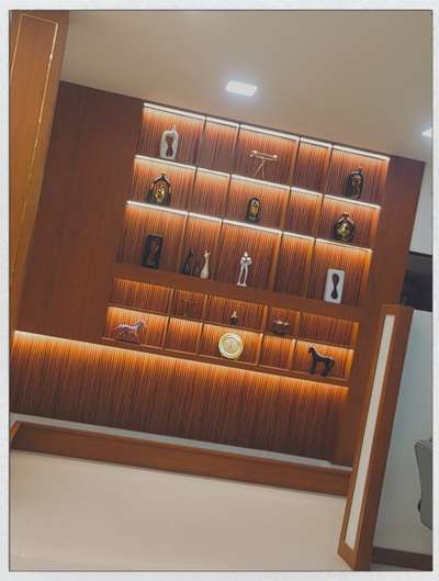 DISPLAY UNIT 
#Architectural&Interior #storagecabinat #display