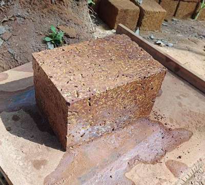 Kannur stone