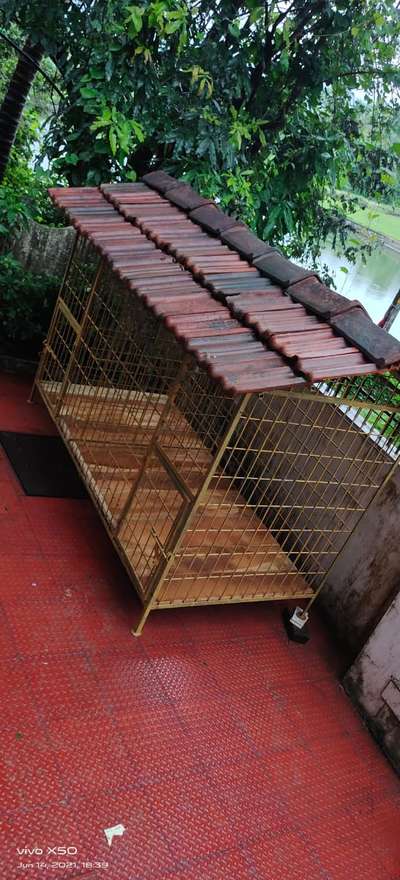 dogs cage