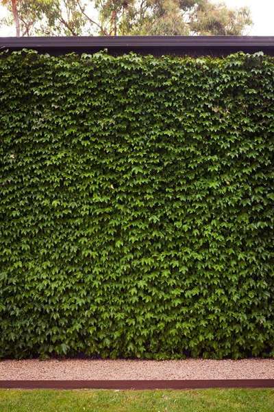 Vertical Garden wall 





#new home #InteriorDesigner #Architectural&Interior
#naturalstones #OypsumCeiling